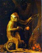 George Stubbs Green Monkey oil on canvas